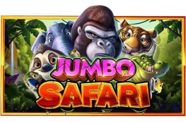 24k slot